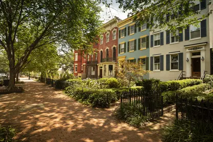 Colorful row of homes and brick sidewalk with tree cover